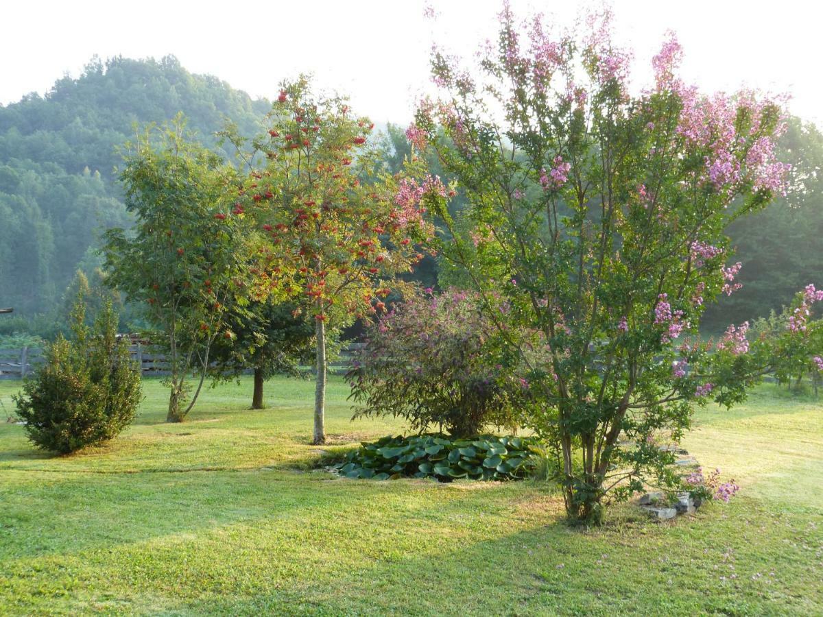B&B Notte Stellata Gaiola Exterior foto